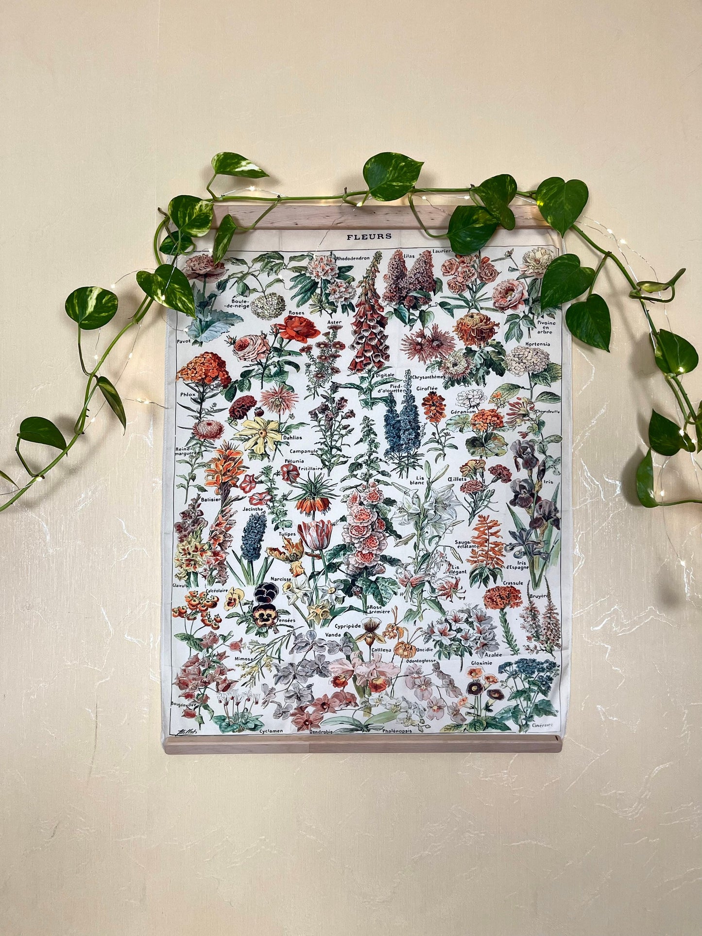 Botanical Animals decor Fabric Birds Poster Framed Canvas Silky Tapestry Wall Hanging Art Print Woodland Nursery Kids Gift Birthday Educatio